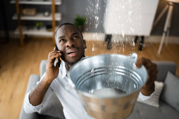 Water damage restoration mold remediation in VA