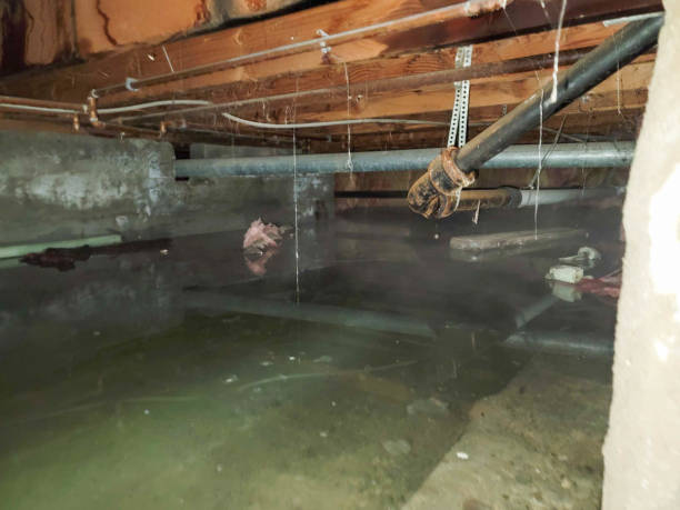 Best Water damage contractors near me  in Bon Air, VA