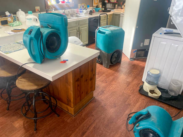 Best Flood damage cleanup  in Bon Air, VA