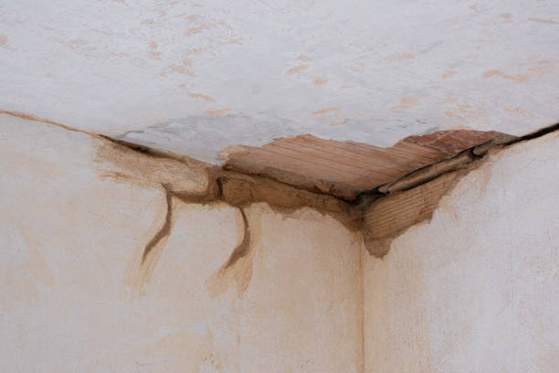 Best Carpet water damage restoration  in Bon Air, VA