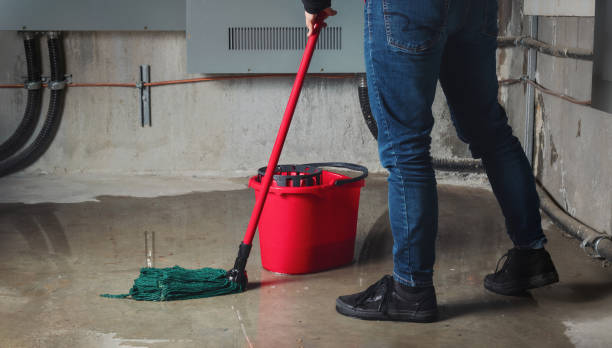 Best Sewage cleanup and water damage restoration  in Bon Air, VA