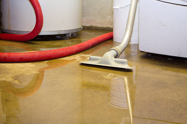 Trusted VA Water damage restoration Experts