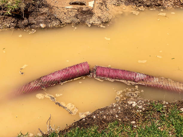 Best Water damage restoration near me  in Bon Air, VA