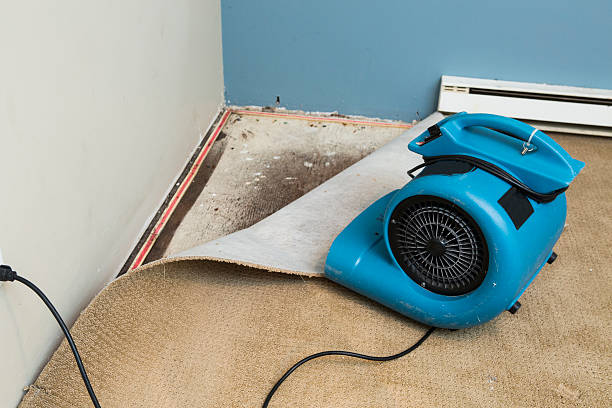 Best 24-hour water damage restoration  in Bon Air, VA